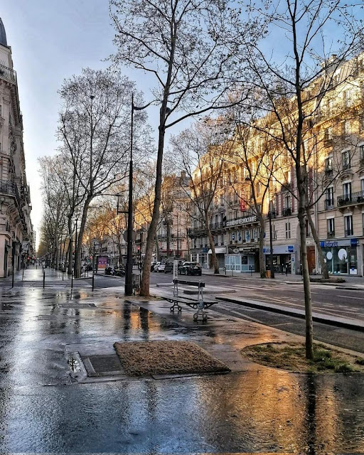 Paris bench on Bd Voltaire in the rain.