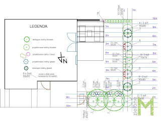 Projekt techniczny z wymiarami i podpisanymi roślinami