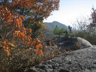 馬の背分岐より高御位山