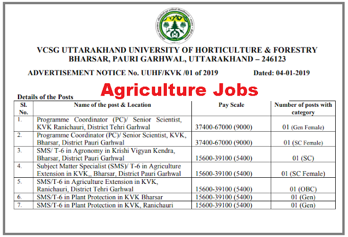 SMS & Program Coordinator Agri-allied Govt Jobs | 2019