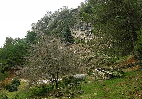 Vista de la fuente y el abrevadero. Fuente: A. Vela Torres, 2009.