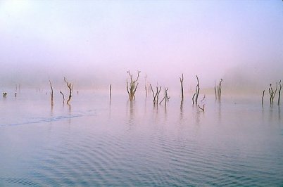 [Image: danau_periyar_02.jpg]