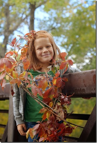 Fall Walk8