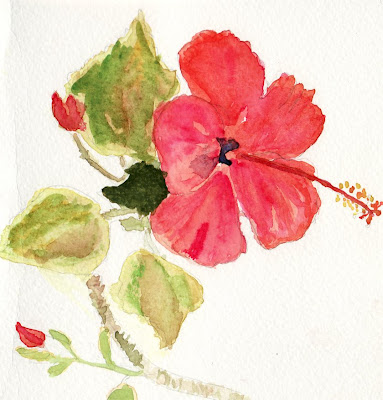 painting pictures of flowers. flowers