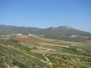 DSC03071