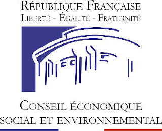 conseil economique social environnemental cese microfinance muhammad yunus 2011