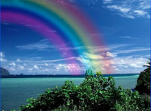 Everydays Full with Colours