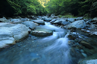 Alpine brook - Photo by kazuend on Unsplash