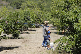 Kindergarten Music: The Farmer in the Dell l LadyDpiano