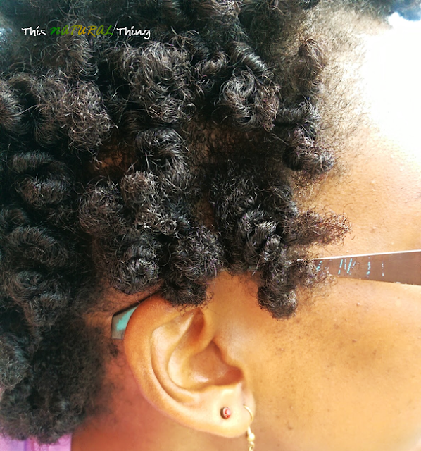 Twisted Curls with As I Am | Review | BONUS Styling Instructions