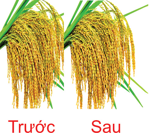 tăng độ phân giải hình trong corel 2021, làm nét hình trong corel 2021,coreldraw 2021,corel 2021,corel mới nhất,tính năng ưu việt của corel 2021,corel 2021 có gì mới,tìm hiểu corel 2021,tính năng mới của corel 2021,giáo trình corel 2021,mở đầu corel 2021,điểm khác biệt của corel 2021,giới thiệu corel 2021,new menu corel 2021,coreldraw 2021 new features,đánh giá coreldraw 2021,trải nghiệm corel 2021,tăng độ phân giải hình trong corel 2021,chuyển hình thành vector corel 2021,tăng chất lượng hình trong corel 2021,học corel 2021