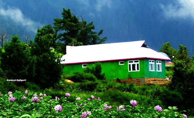 Shogran:  Shugran:Sri and Paye Meadows