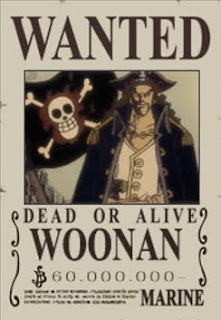 bounty woonan one piece