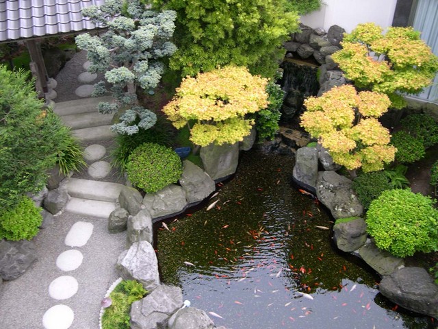 Backyard Flower Garden
