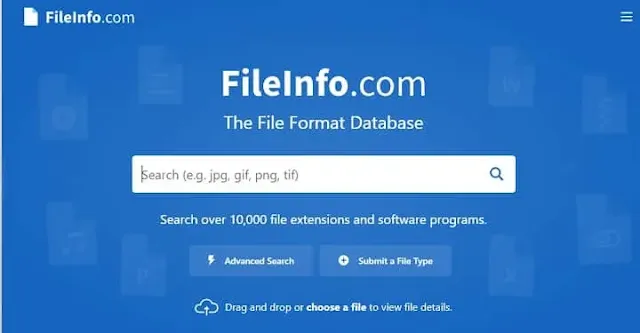 موقع FileInfo