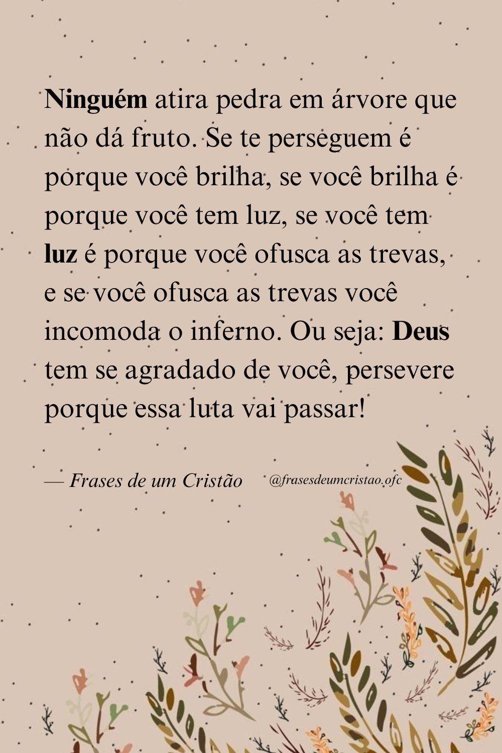 Ninguém atira pedra em árvore que não dá fruto. Se te perseguem é porque você brilha, se você brilha é porque você tem luz, se você tem luz é porque você ofusca as trevas, e se você ofusca as trevas você incomoda o inferno. Ou seja: Deus tem se agradado de você, persevere porque essa luta vai passar!