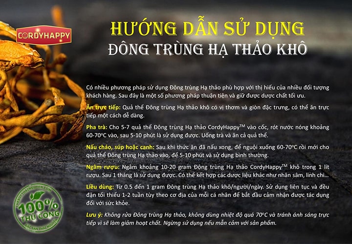 dong trung ha thao kho