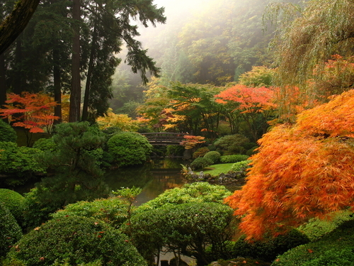 garden ideas around trees Japanese Garden Portland Oregon | 500 x 375