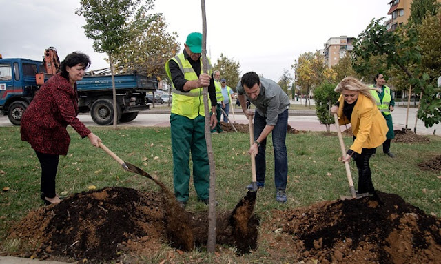 Erion Veliaj and Municipal employees planting trees