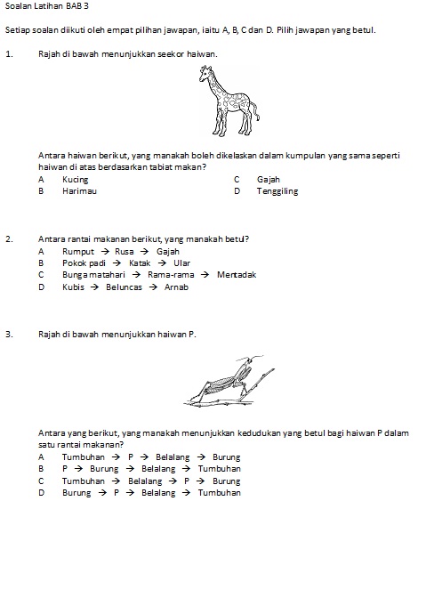 DUNIA SAINS TAHUN 5: LATIHAN UNIT 3: RANTAI MAKANAN DAN 