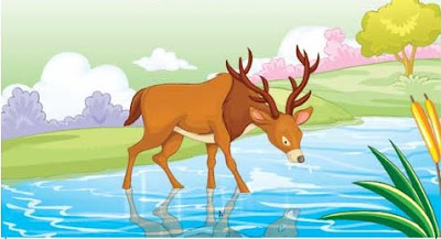 The stag saw his reflection in the stream water.
