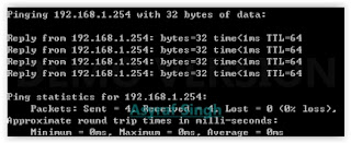 Ping command for test a connection