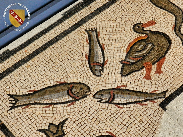 EPINAL (88) - Musée d'Art Ancien et Contemporain : Mosaïque aux Dauphins