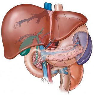 gilbert  disease