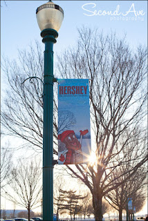 hershey, chocolate world, zooamerica, gettysburg, irish brigade monument, photoblog, birds of prey, bald eagle, low light, animals, nature, zoo, flare, snake, owl, fish, pennsylvania, Virginia photographer, macro, macro photography, travel, photography, 