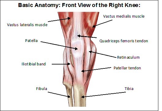 Right Knee Anatomy-4.bp.blogspot.com