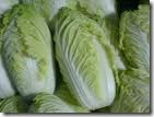 slobor