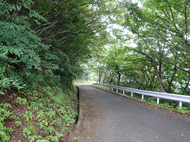 香取草谷展望駐車場に向かう山道