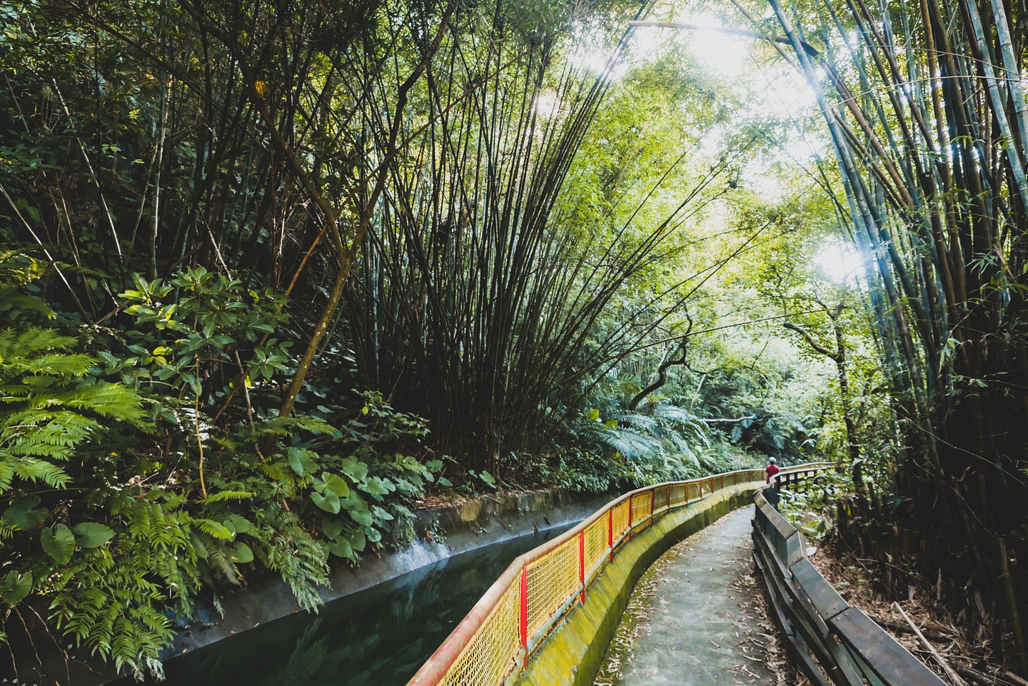 石岡電火圳生態步道