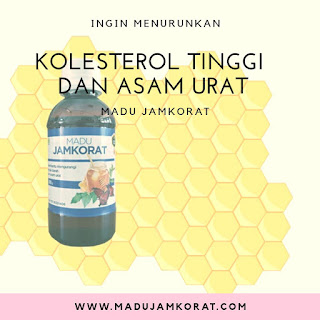 Obat Asam Urat sumatera Selatan