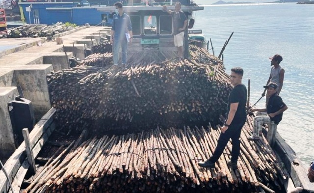 Bea Cukai Batam Berhasil Gagalkan Penyelundupan Puluhan Ribu Batang Kayu Teki di Perairan Pulau Jaloh Atas