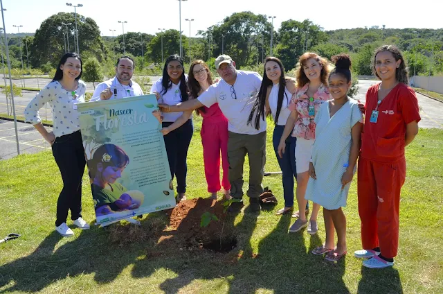 Hospital Estadual do Centro-Norte (HCN) cria o Projeto Nascer Floresta, unidade gerida pelo Instituto de Medicina, Estudos e Desenvolvimento (IMED)