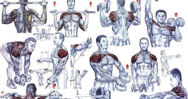 Shoulder Exercises For Men To Add More Muscle Mass ...