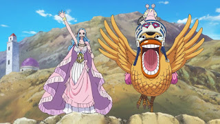 ワンピースアニメ アラバスタ編 | ONE PIECE Arabasta Arc