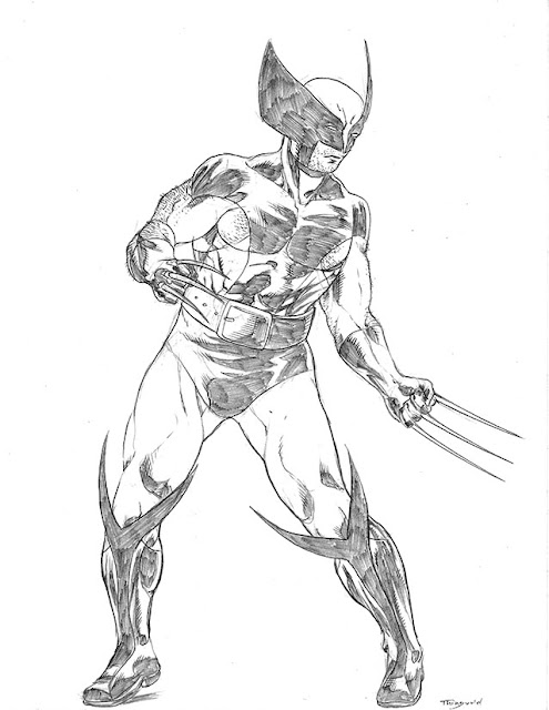 Wolverine warm-up pencils