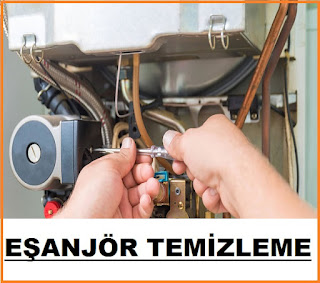 İzmir Viessmann kombi eşanjör temizleme