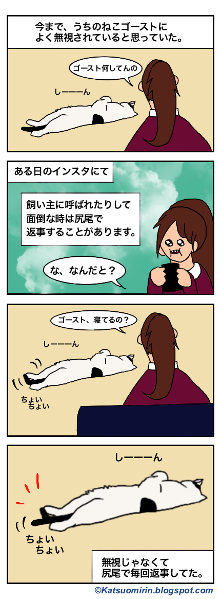 尻尾で返事する猫