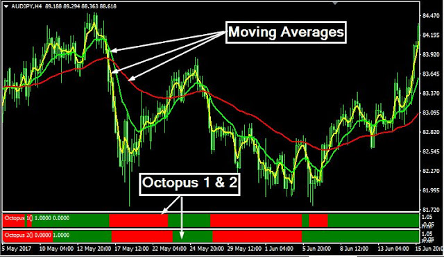 Forex Octopus Trading System Indicators