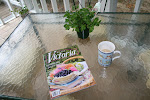 The Back Porch