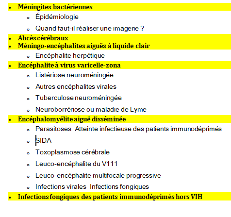 Infections du système nerveux central chez l'adulte