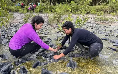 Estudantes participam do projeto Escola Vai ao Mangue, do Instituto Peabiru - Projeto Mangues da Amazônia/Divulgação