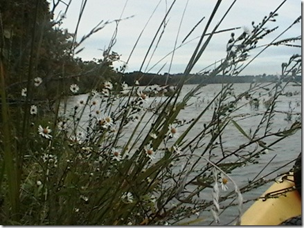 IMGA0233