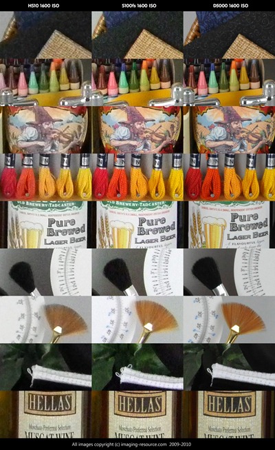 mushfest_2010[1]