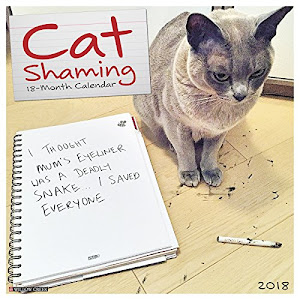 Cat Shaming 2018 Calendar