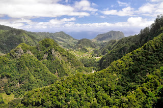Madeira. Вид со смотровой площадки в конце левады Ribeiro Frio.