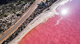 Pink lake western australia